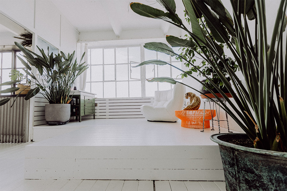 Tageslichtstudio Leipzig © Sandra Ludewig